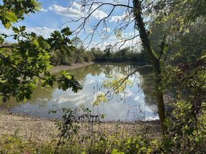 Reservoir- click for photo gallery